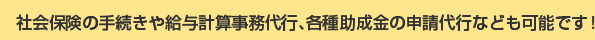 社会保険の手続きや給与計算事務代行、各種助成金の申請代行なども可能です!